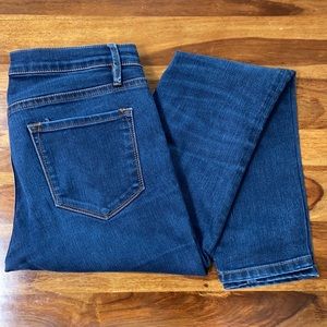 BDG Twig Mid-Rise Skinny Jean